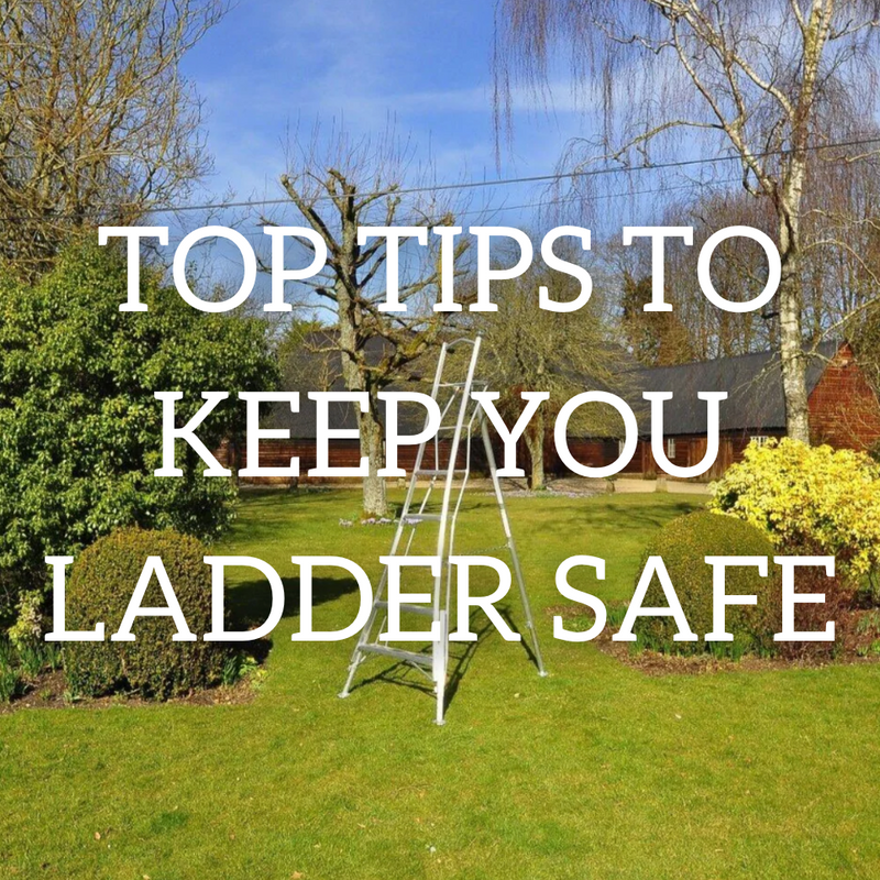 Top Tips to Keep You Ladder Safe