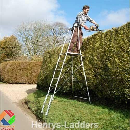 Henchman Hi Step Platform Ladder - Henchman - 3 Year Warranty